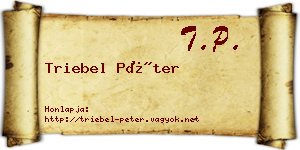 Triebel Péter névjegykártya